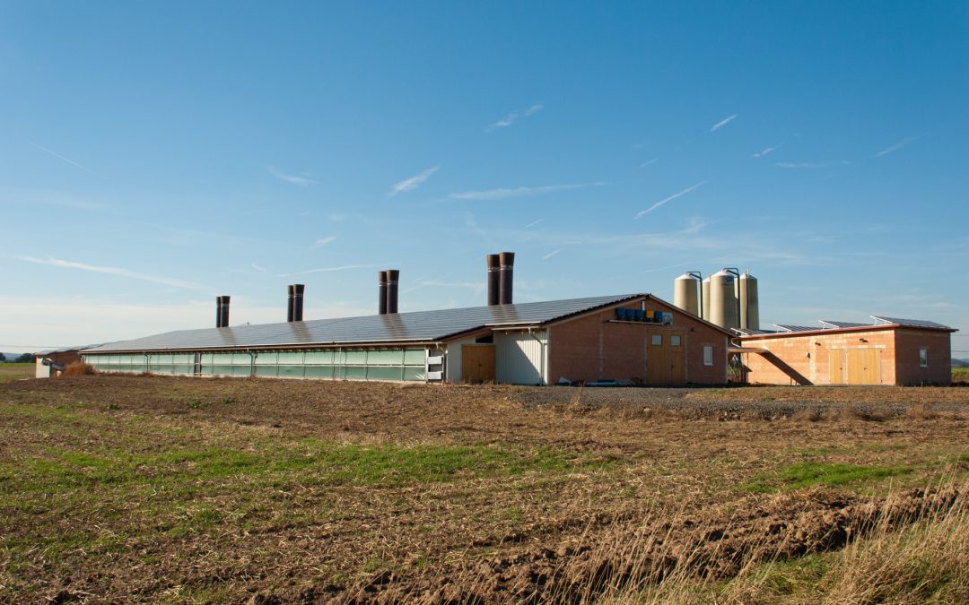Felsberg-Lohre